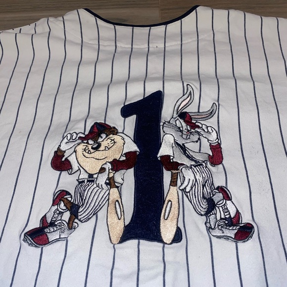 VTG ‘95 ACME Warner Bros. Pinstripe Jersey, Size:M - Picture 3 of 10